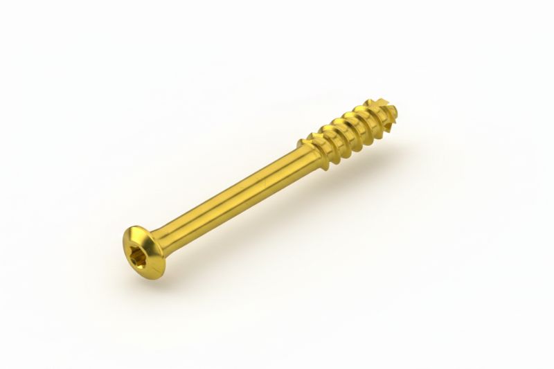 Vite corticale parzialmente filettata